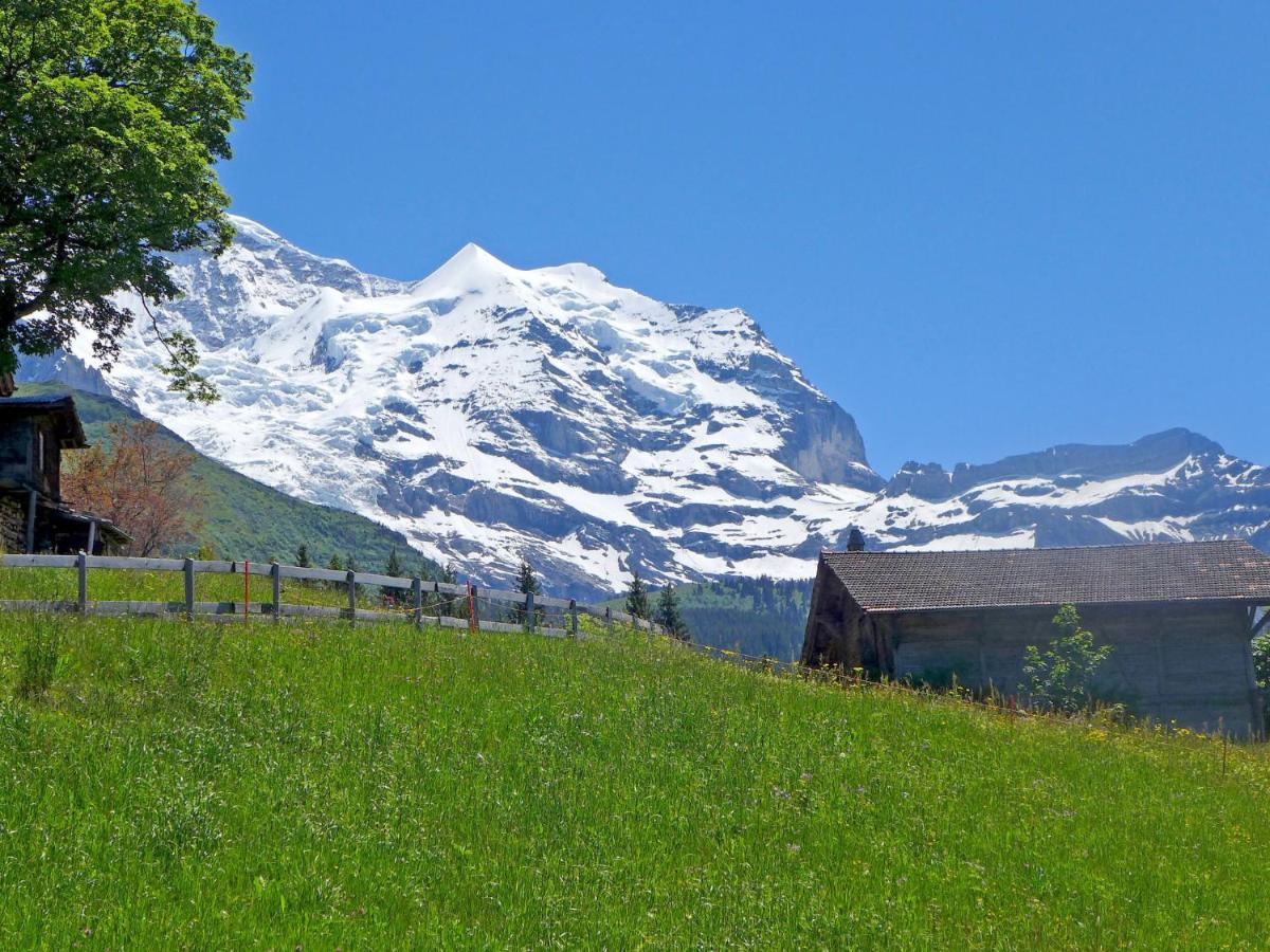 Tschingelhorn * Wengen