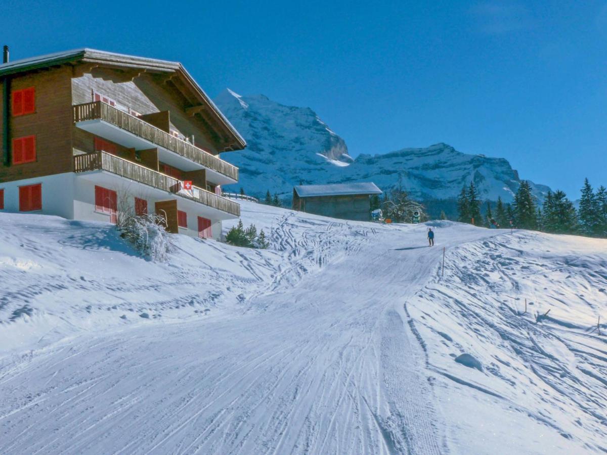 Apartment Tschingelhorn *