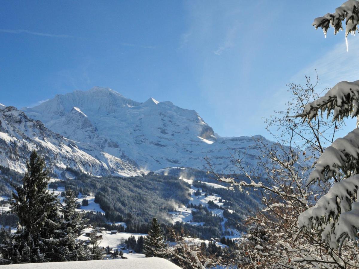 Tschingelhorn Apartment *